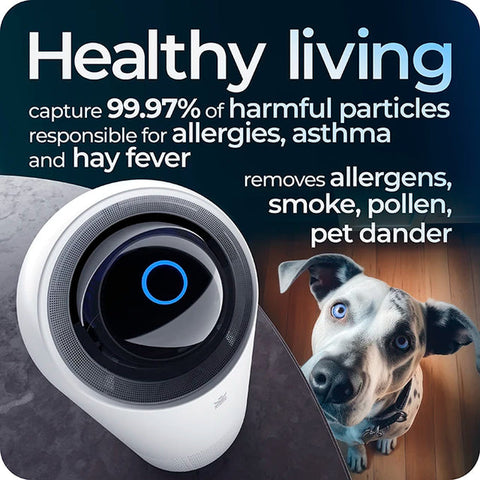 Avalla R-2200 air purifier with True HEPA filter