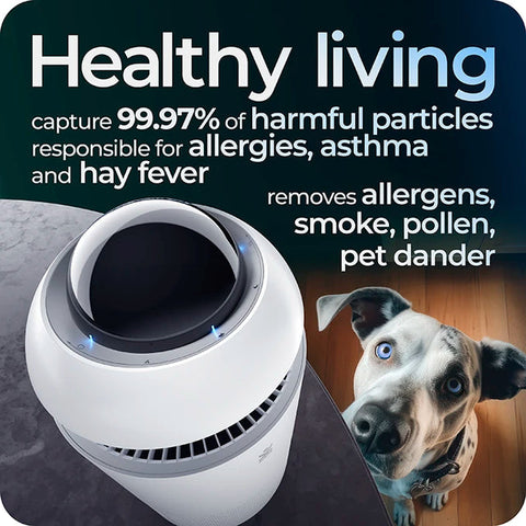 Avalla R-4200 air purifier with True HEPA filter & ioniser - for whole home
