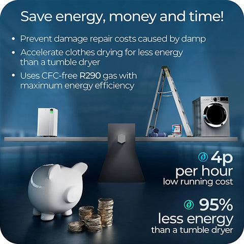 Avalla X-350 12L energy efficient dehumidifier & air purifier combo - for multi rooms